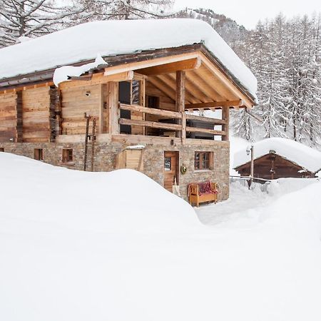Mountain Chalet 4 You 采尔马特 外观 照片