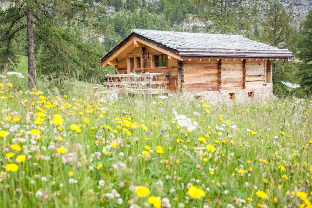 Mountain Chalet 4 You 采尔马特 外观 照片